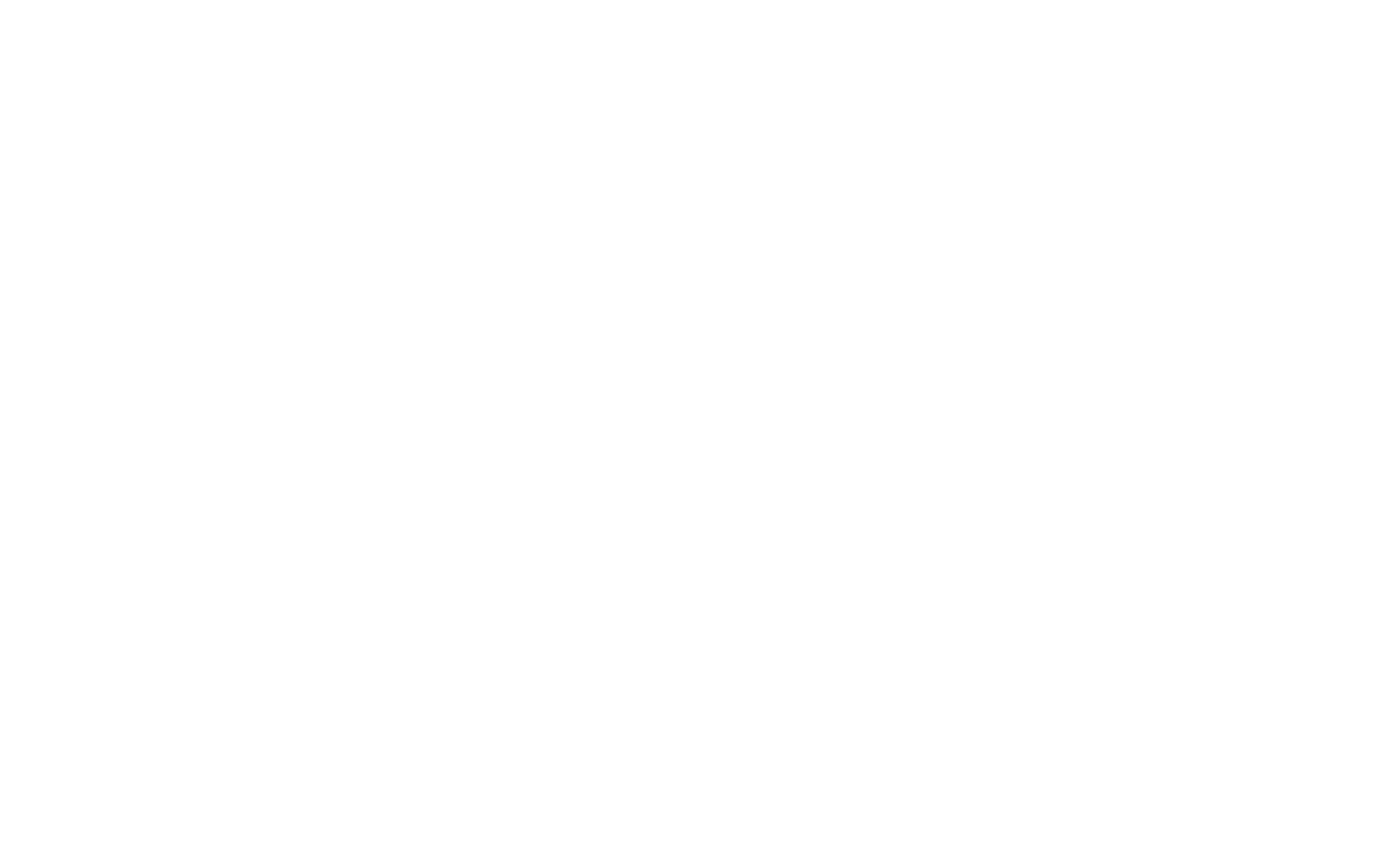 Lion Window Cleaning